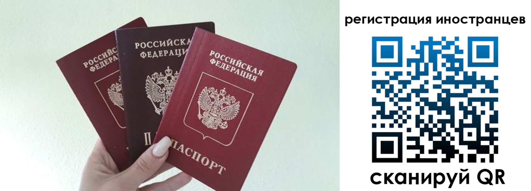 миграционный учет в Бородино